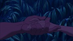 Image Tarzan