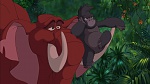 Image Tarzan