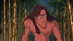 Image Tarzan