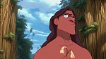 Image Tarzan