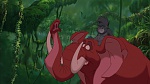 Image Tarzan