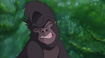 Image Tarzan