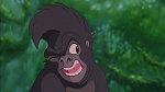 Image Tarzan