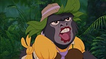 Image Tarzan