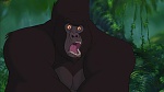 Image Tarzan