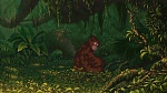 Image Tarzan