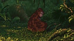 Image Tarzan