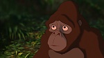Image Tarzan