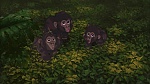 Image Tarzan