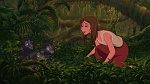 Image Tarzan