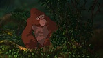 Image Tarzan