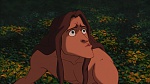 Image Tarzan