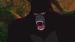 Image Tarzan