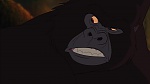Image Tarzan