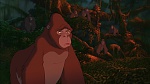 Image Tarzan