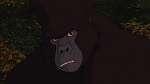 Image Tarzan