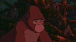 Image Tarzan