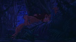 Image Tarzan