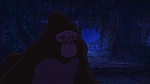 Image Tarzan