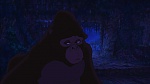 Image Tarzan