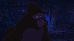 Image Tarzan
