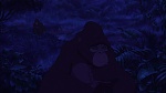 Image Tarzan