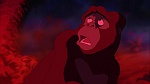Image Tarzan