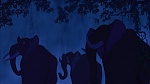 Image Tarzan