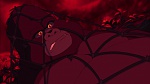 Image Tarzan