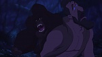 Image Tarzan
