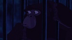 Image Tarzan