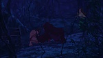 Image Tarzan