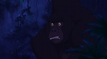 Image Tarzan