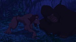 Image Tarzan
