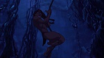 Image Tarzan
