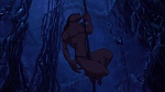 Image Tarzan