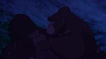 Image Tarzan