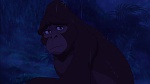 Image Tarzan