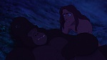 Image Tarzan