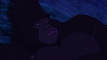 Image Tarzan