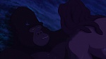 Image Tarzan