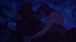 Image Tarzan