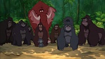 Image Tarzan