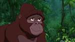 Image Tarzan