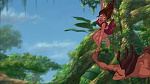 Image Tarzan