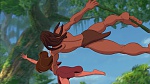 Image Tarzan