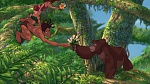 Image Tarzan
