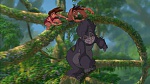 Image Tarzan