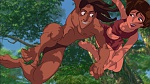 Image Tarzan