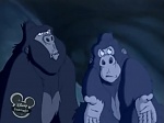 Image La légende de Tarzan